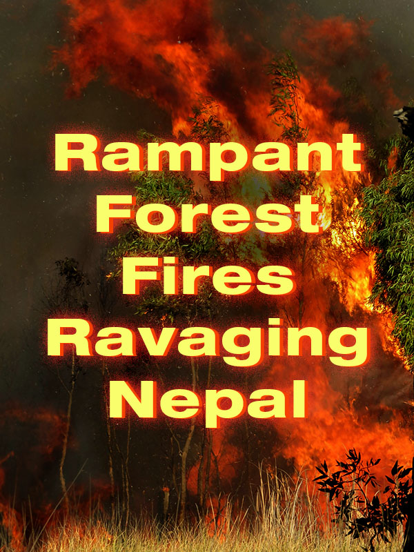 rampant forest fires ravaging nepal